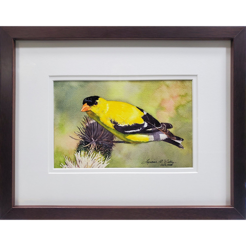 Click to view detail for American Goldfinch 5.5x8.5 $350